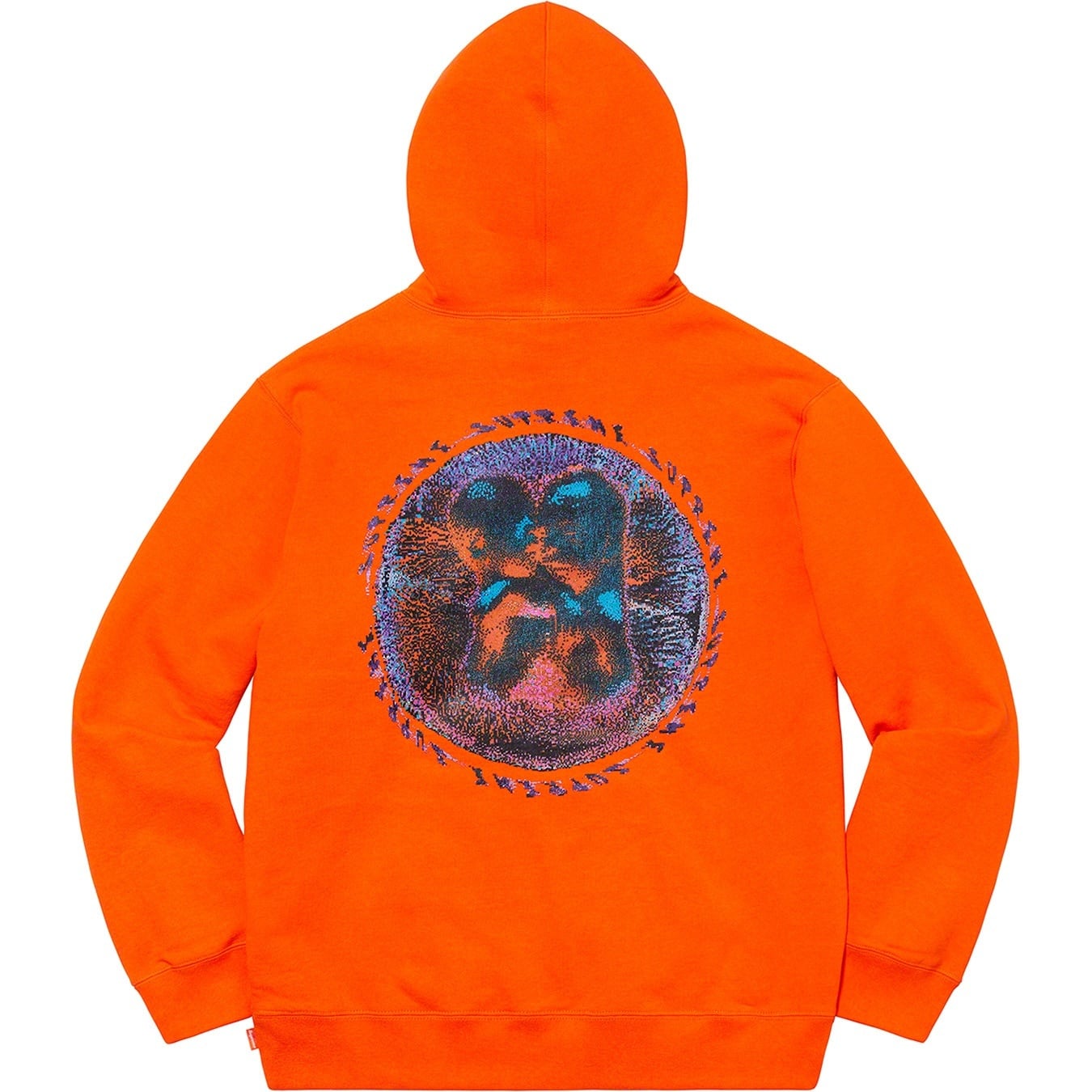 Embryo Hooded Sweatshirt view 5
